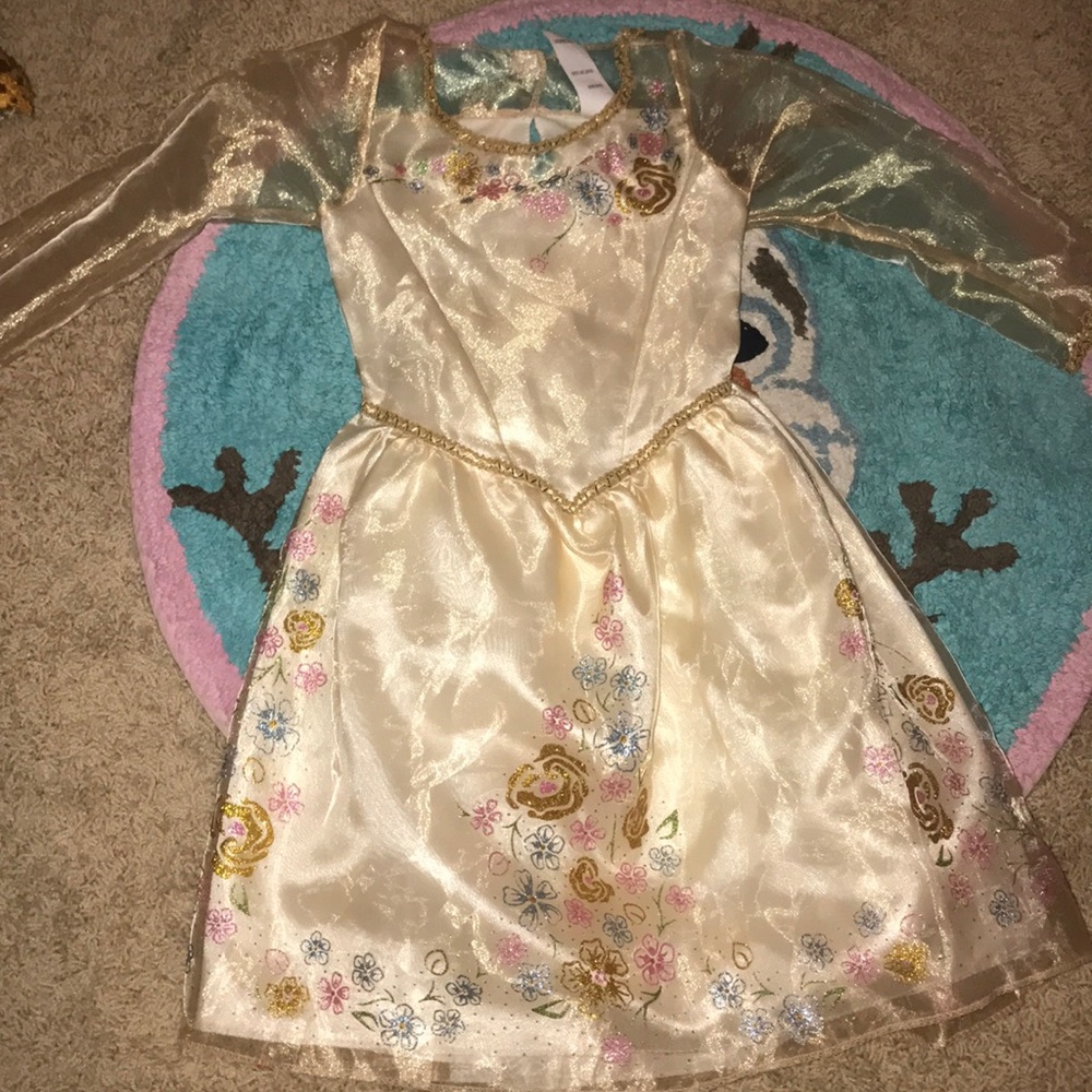 NEW Disney princess dress